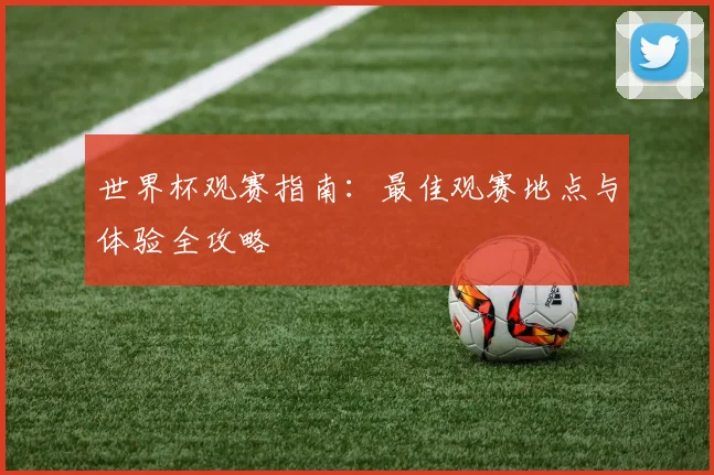 世界杯观赛指南:最佳观赛地点与体验全攻略
