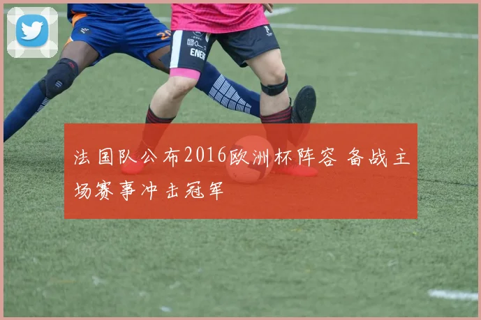 法国队公布2016欧洲杯阵容 备战主场赛事冲击冠军