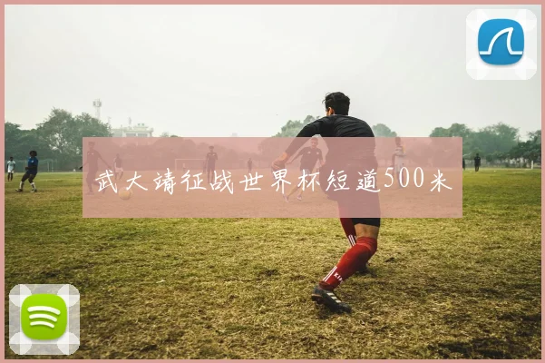 武大靖征战世界杯短道500米