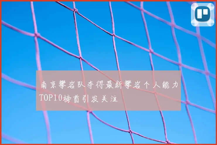 南京攀岩队夺得最新攀岩个人能力TOP10榜首引发关注