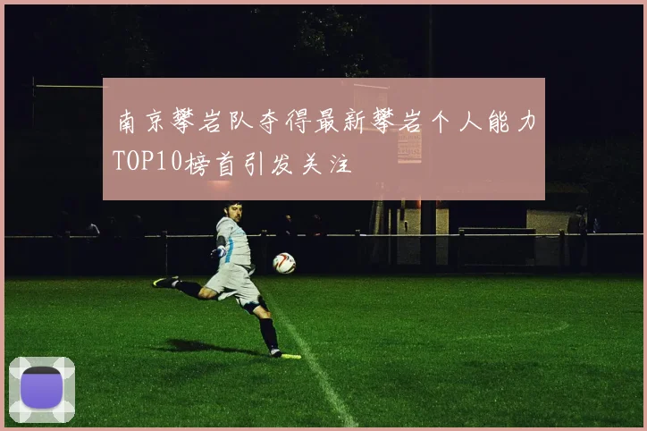南京攀岩队夺得最新攀岩个人能力TOP10榜首引发关注