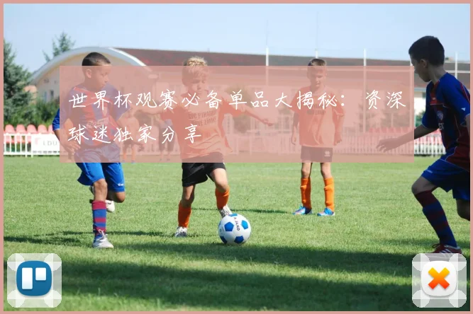 世界杯观赛必备单品大揭秘:资深球迷独家分享