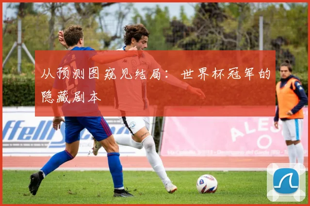 从预测图窥见结局：世界杯冠军的隐藏剧本