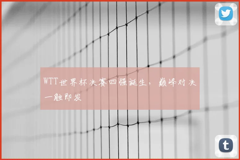WTT世界杯决赛四强诞生，巅峰对决一触即发