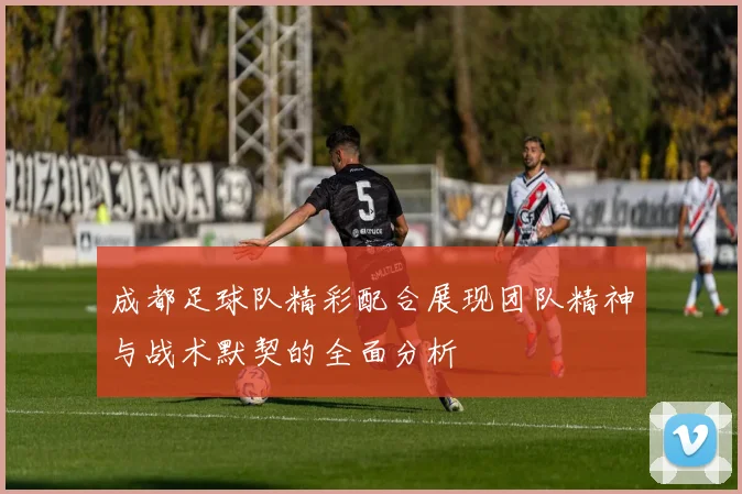 成都足球队精彩配合展现团队精神与战术默契的全面分析